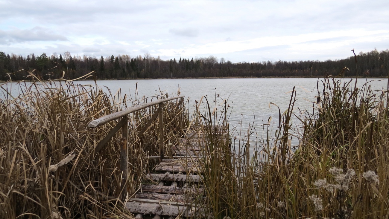 На озере Яльчик может появиться «мертвый лес»